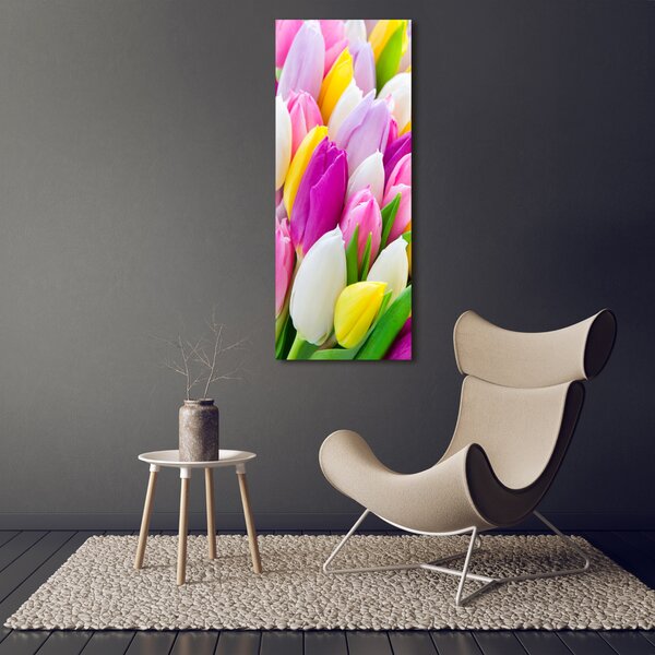 Vertikální Foto obraz na plátně Barevné tulipány ocv-104468261
