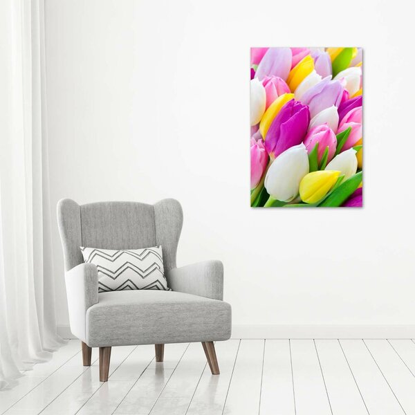 Vertikální Foto obraz na plátně Barevné tulipány ocv-104468261