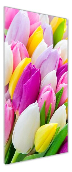 Vertikální Fotoobraz na skle Barevné tulipány osv-104468261
