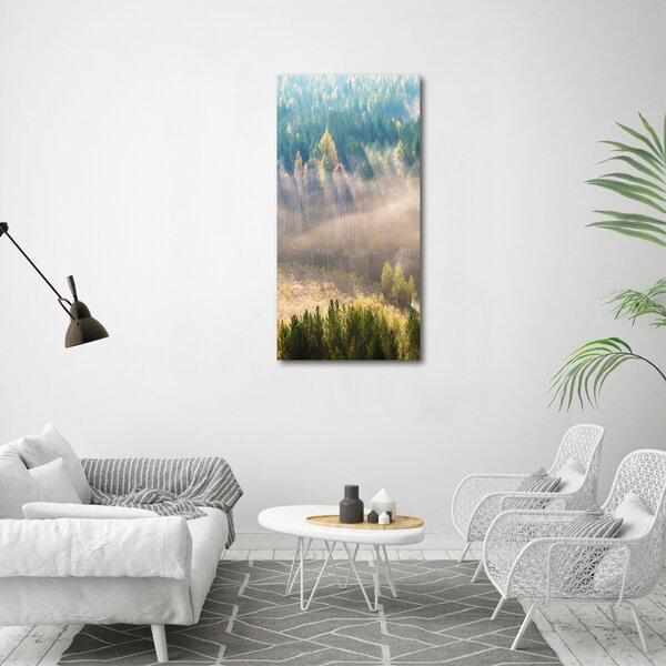 Vertikální Foto obraz fotografie na skle Mlha nad lesem osv-104886541
