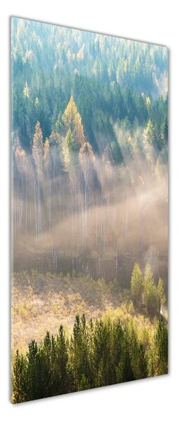 Vertikální Foto obraz fotografie na skle Mlha nad lesem osv-104886541