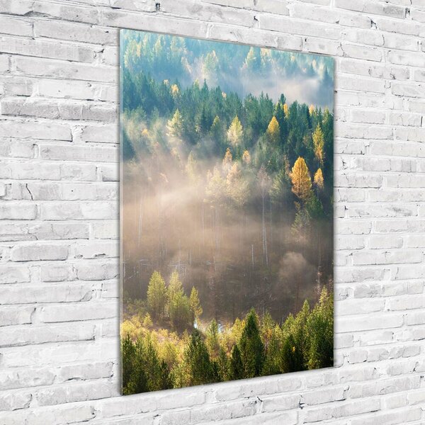 Vertikální Foto obraz fotografie na skle Mlha nad lesem osv-104886541