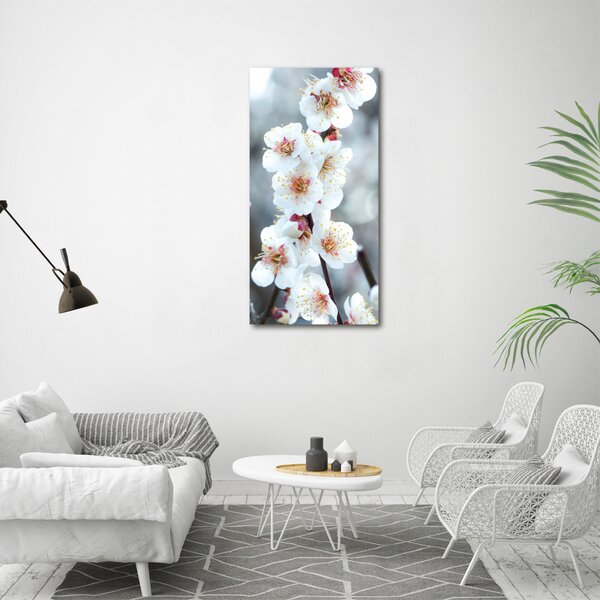 Vertikální Foto obraz canvas Květy višně ocv-104952401