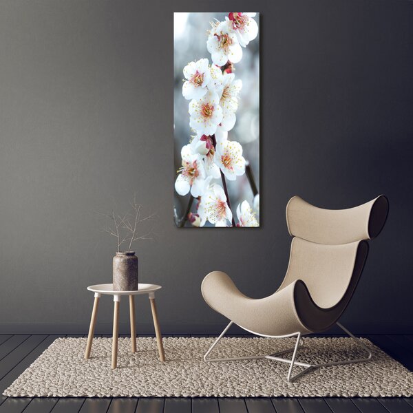 Vertikální Foto obraz canvas Květy višně ocv-104952401
