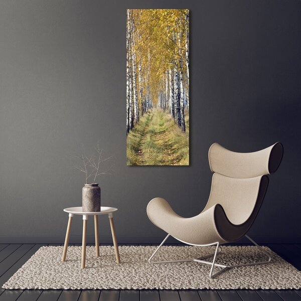 Vertikální Foto obraz canvas Břízový les ocv-105179971