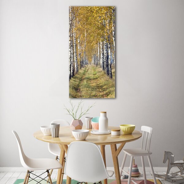Vertikální Foto obraz sklo tvrzené Břízový les osv-105179971
