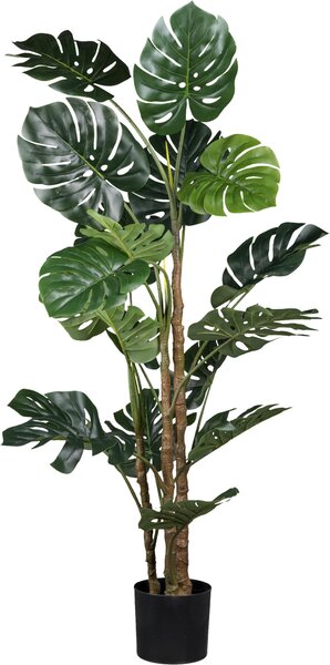UMĚLÁ ROSTLINA filodendron monstera 160 cm - Umělé rostliny, Online Only
