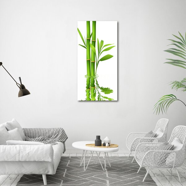 Vertikální Moderní fotoobraz canvas na rámu Bambus ocv-105685926