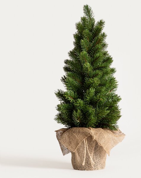 Vánoční stromeček v jutě Oppla 55 cm Homla
