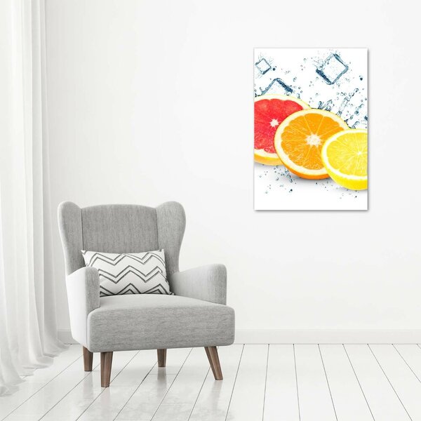 Vertikální Moderní obraz canvas na rámu Citrusy ocv-105914102