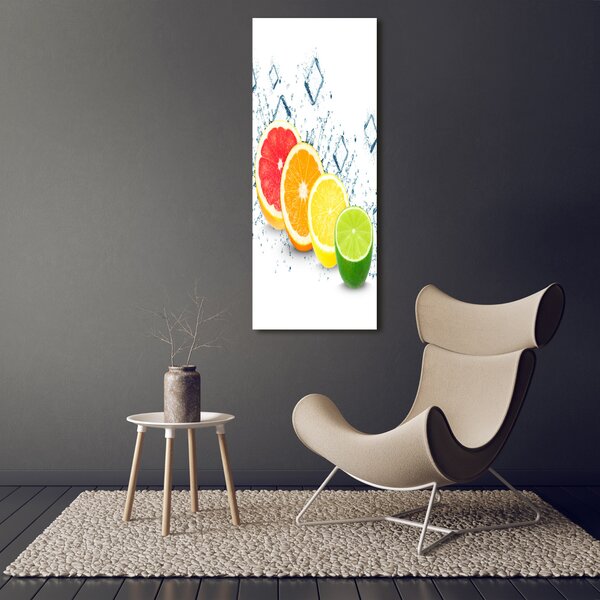 Vertikální Moderní obraz canvas na rámu Citrusy ocv-105914102