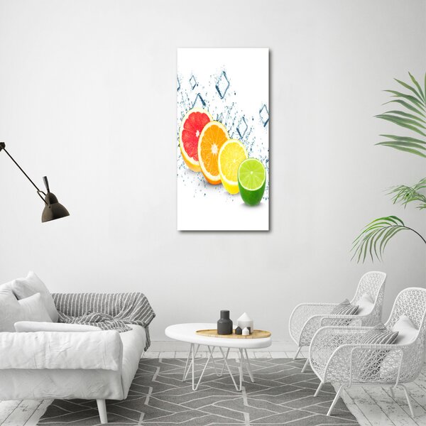Vertikální Moderní obraz canvas na rámu Citrusy ocv-105914102