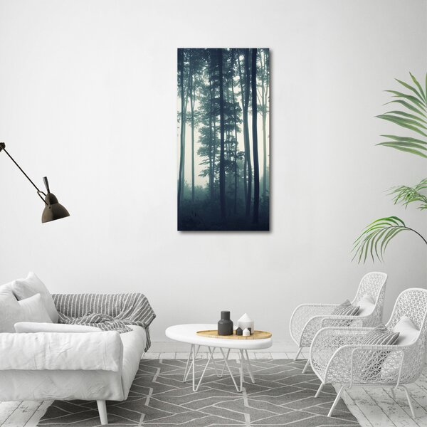 Vertikální Foto obraz canvas Mlha v lese ocv-106280644