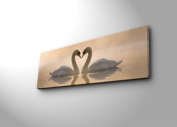 ASIR Obraz na plátně LABUTÍ PÁR 90 x 30 cm