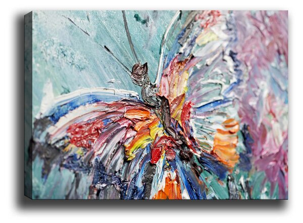 ASIR Obraz na plátně MOTÝL 100 x 70 cm