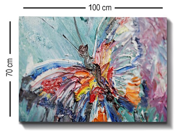 ASIR Obraz na plátně MOTÝL 100 x 70 cm