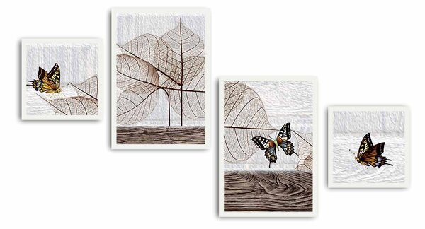ASIR Obraz na MDF s rámem 4ks MOTÝLI 30 x 30 cm (2) 35 x 50 cm (2)