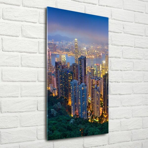 Vertikální Foto obraz sklo tvrzené Noční Hong kong osv-106686696