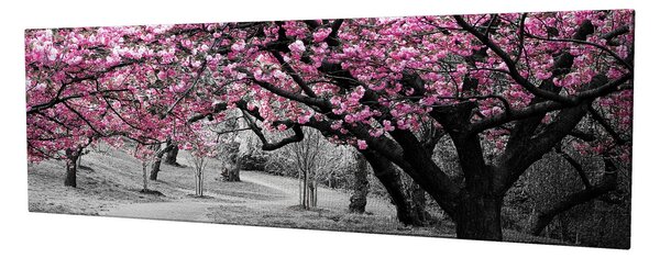 ASIR Obraz na plátně KVETOUCÍ SAKURY 80 x 30 cm