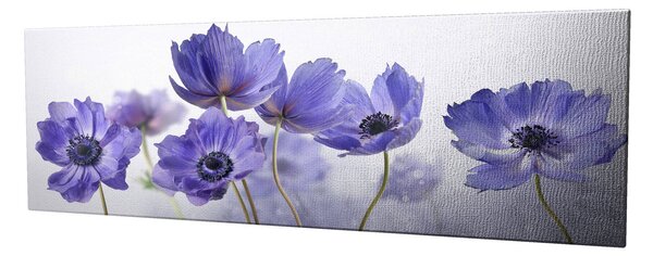 ASIR Obraz na plátně MODRÉ KVĚTY 80 x 30 cm
