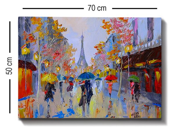ASIR Obraz na plátně DEŠTIVÝ DEN V PAŘÍŽI 70 x 50 cm