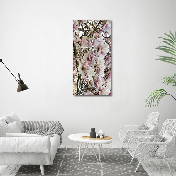Vertikální Foto obraz na plátně Květy magnolie ocv-107287859