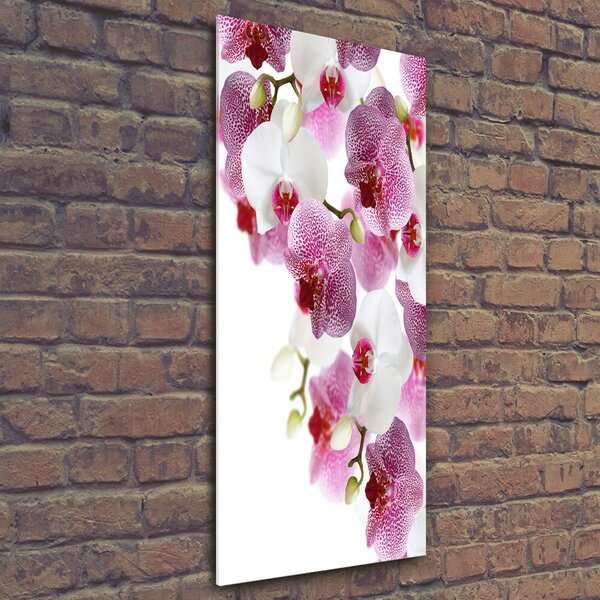 Vertikální Foto-obrah sklo tvrzené Orchidej osv-107506962