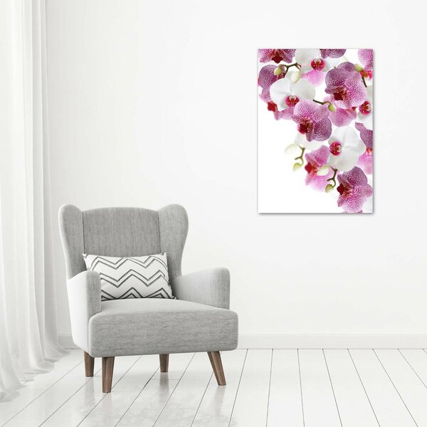 Vertikální Foto-obrah sklo tvrzené Orchidej osv-107506962