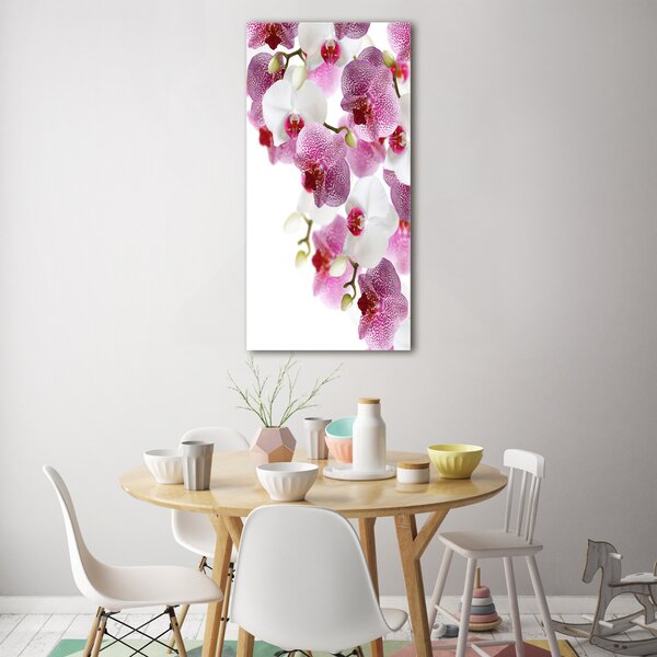 Vertikální Foto-obrah sklo tvrzené Orchidej osv-107506962