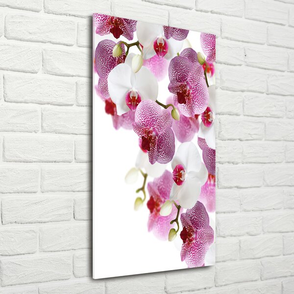 Vertikální Foto-obrah sklo tvrzené Orchidej osv-107506962