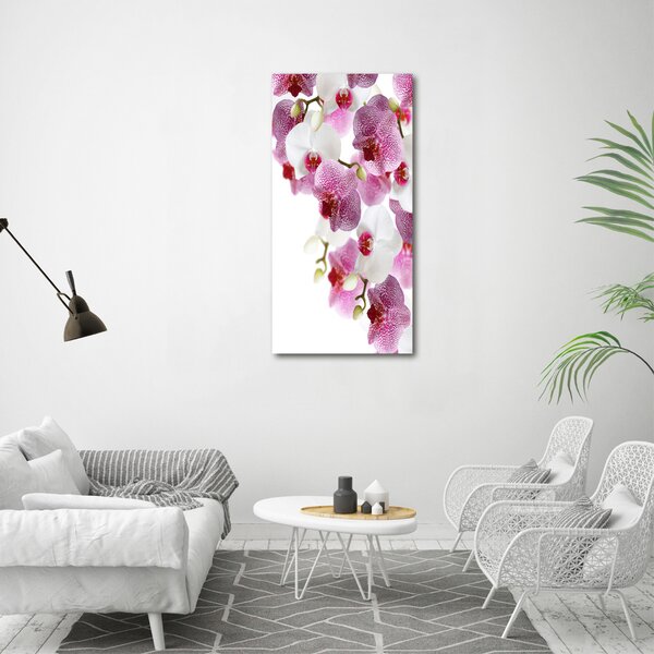 Vertikální Foto-obrah sklo tvrzené Orchidej osv-107506962