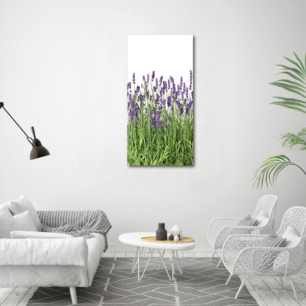 Vertikální Foto obraz canvas Pole levandule ocv-107877649