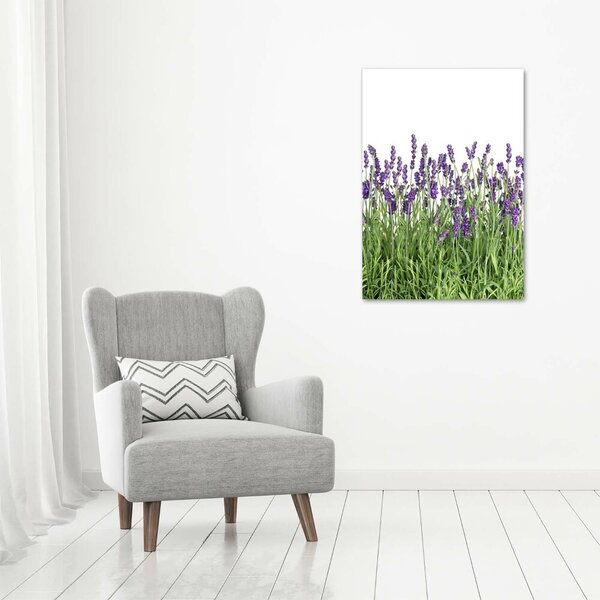 Vertikální Foto obraz canvas Pole levandule ocv-107877649