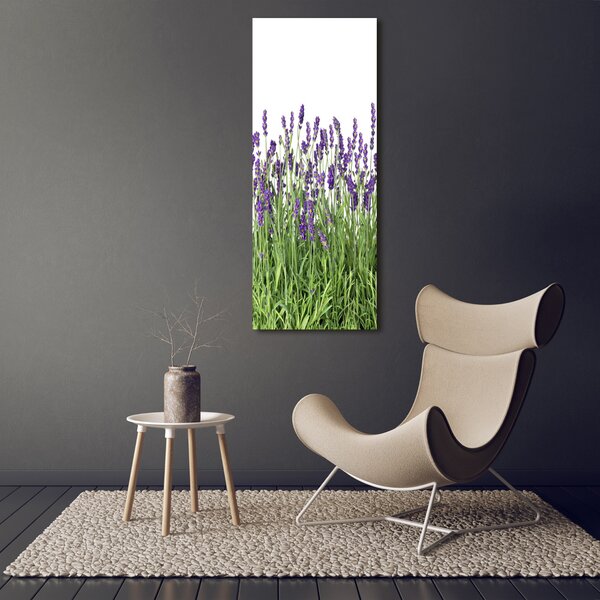 Vertikální Foto obraz canvas Pole levandule ocv-107877649