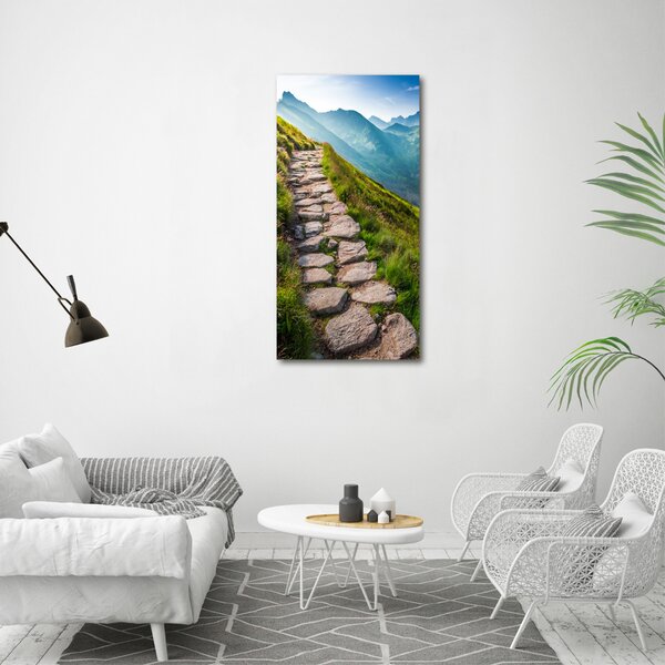 Vertikální Foto obraz canvas Horská stezka ocv-108007408