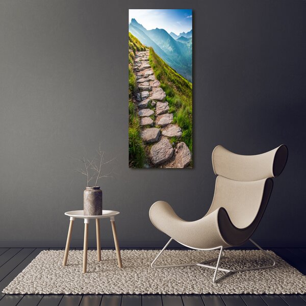Vertikální Foto obraz canvas Horská stezka ocv-108007408