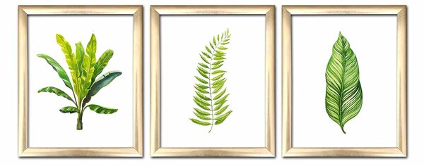ASIR Obraz na MDF s rámem 3ks RŮZNÉ LISTY 23,5 x 28,5 cm