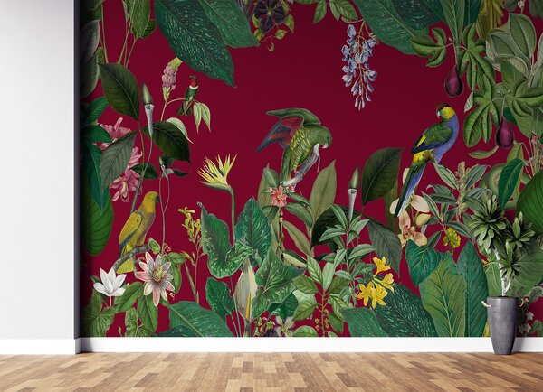 Fototapeta Červené tropy - Andrea Haase Materiál: Vliesová, Rozměry: 200 x 140 cm
