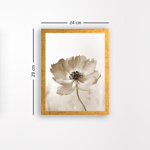 ASIR Obraz na MDF s rámem ROMANTICKÝ KVĚT 24 x 29 cm