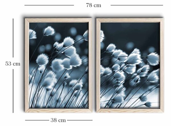 ASIR Obraz na MDF s rámem 2ks JEMNÁ KRÁSA VE VĚTRU 38 x 53 cm
