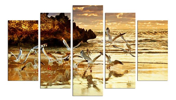 ASIR Obraz na MDF 5ks MOŘŠTÍ PTÁCI 20 x 60 (1) 20 x 50 (2) 20 x 40 cm (2)