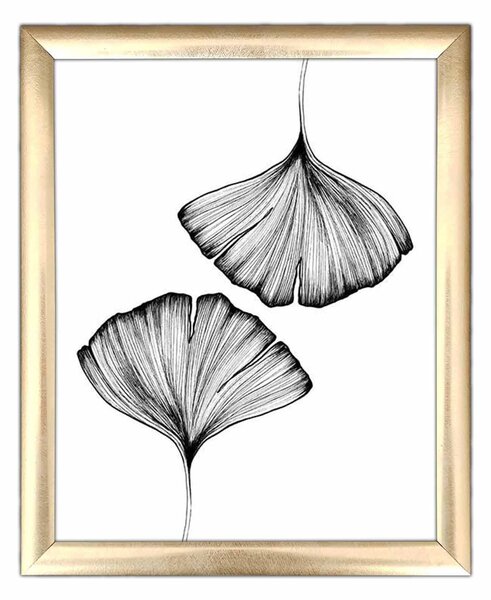 ASIR Obraz na MDF s rámem GINKGO BILOBA 23,5 x 28,5 cm