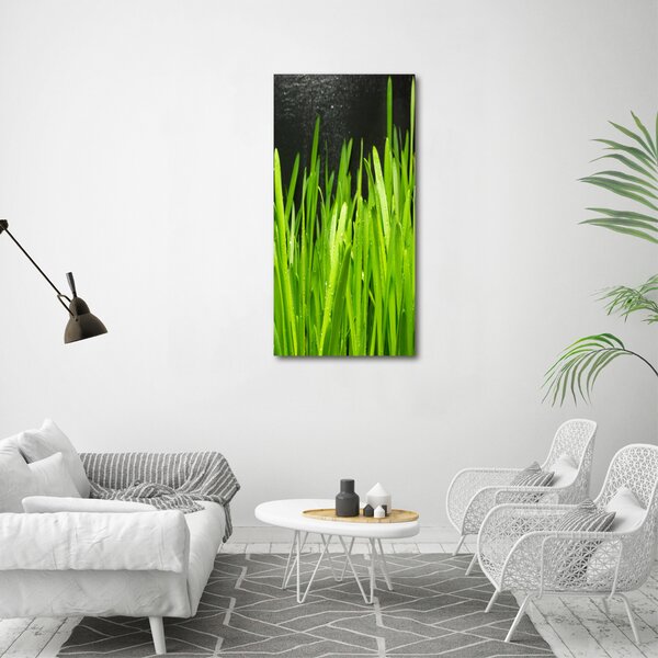 Vertikální Foto obraz canvas Stéblo trávy ocv-108879645