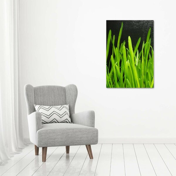 Vertikální Foto obraz canvas Stéblo trávy ocv-108879645