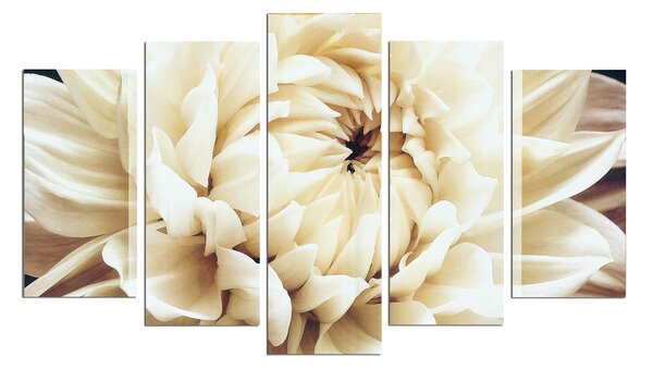 ASIR Obraz na MDF 5ks ASTRA 20 x 60 cm (1) 20 x 50 cm (2) 20 x 40 cm (2)