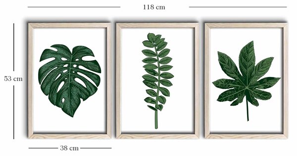 ASIR Obraz na MDF s rámem 3ks LISTY RŮZNÝCH ROSTLIN 38 x 53 cm