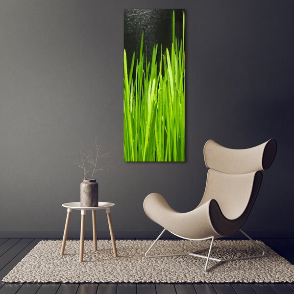 Vertikální Foto obraz canvas Stéblo trávy ocv-108879645