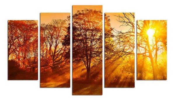 ASIR Obraz na MDF 5ks PAPRSKY SLUNCE 20 x 60 (1) 20 x 50 (2) 20 x 40 cm (2)