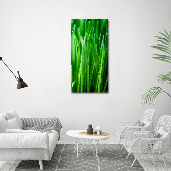 Vertikální Foto obraz canvas Stéblo trávy ocv-109527369