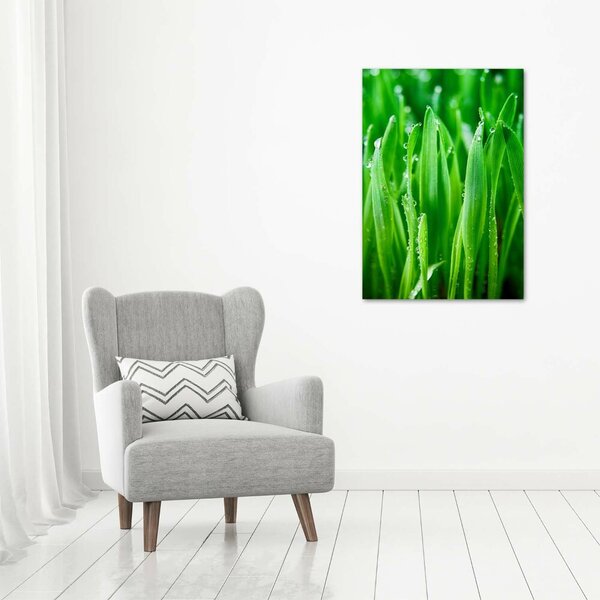 Vertikální Foto obraz canvas Stéblo trávy ocv-109527369